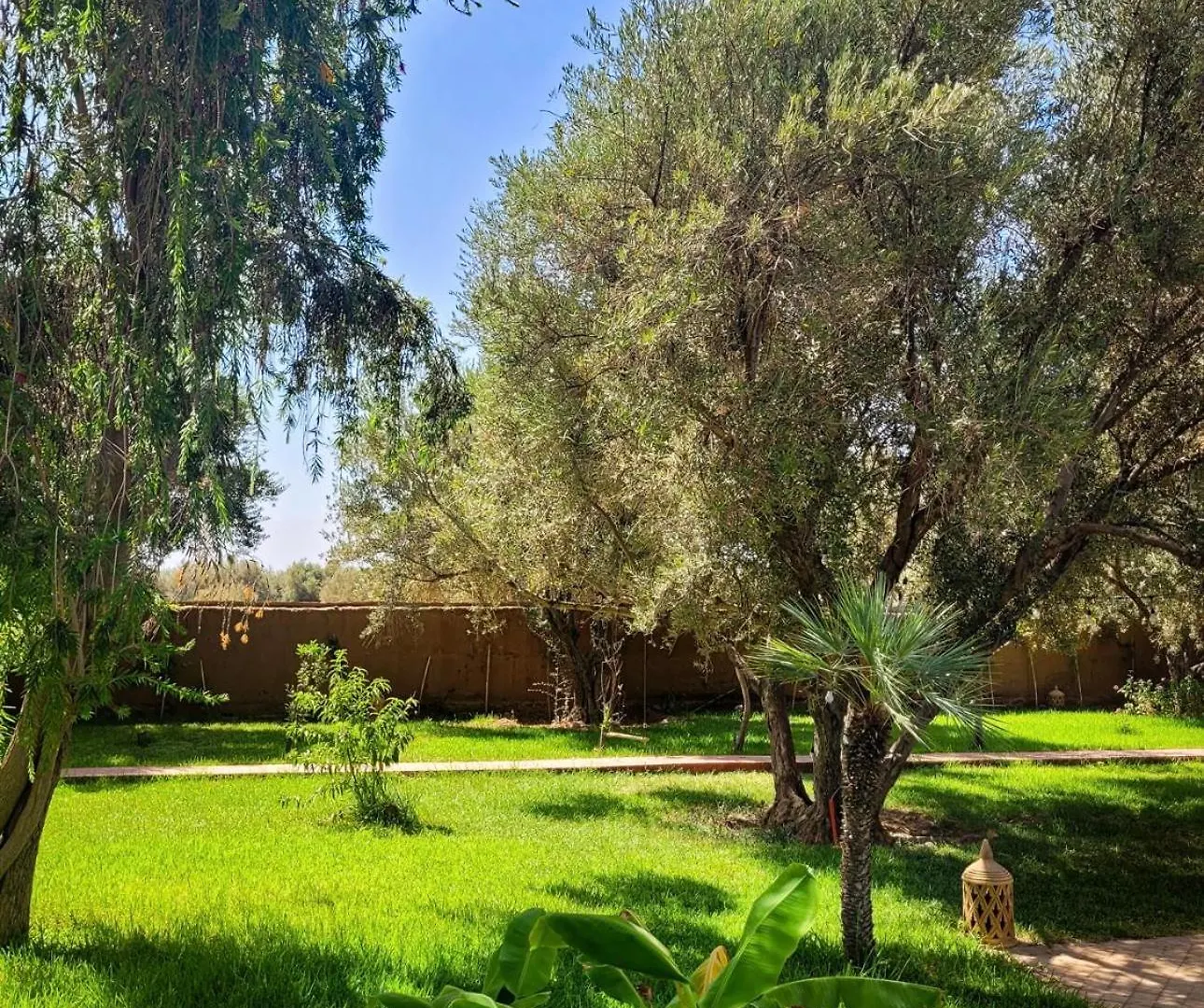 Guest house Maison Chaliya Hotel Amezrou Morocco