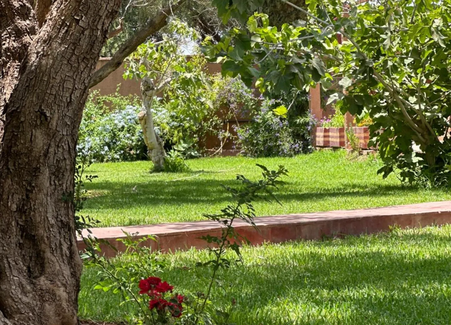 Maison Chaliya Hotel Amezrou 0*,  Morocco